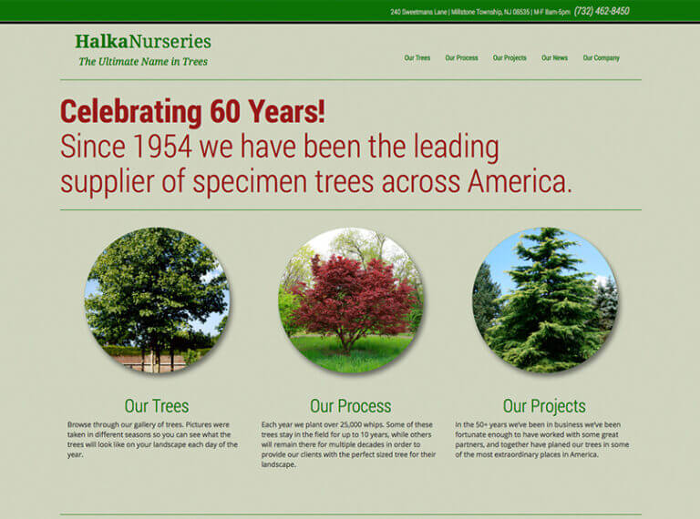 Custom Website