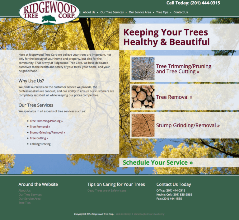 website launch